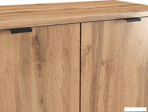 Тумба ЭлиГард Mone 2D (дуб вотан)