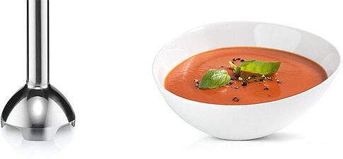 Погружной блендер Bosch MSM26500