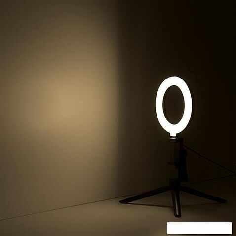 Кольцевая лампа Gauss RL001