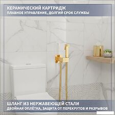 Гигиенический душ Lauter Rainix 21LT7714GL