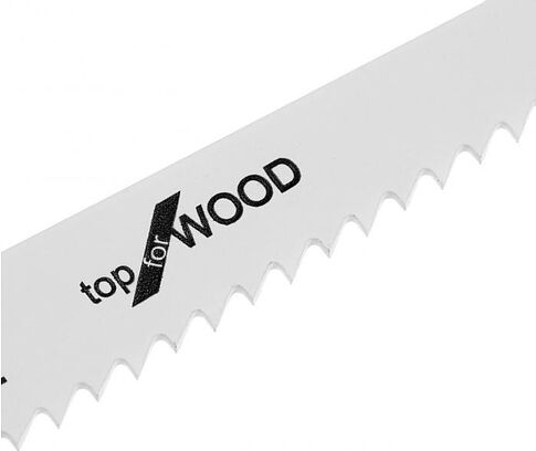 Сабельная пила Tundra 10073494 (с АКБ)