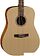Акустическая гитара Cort Earth60 OP