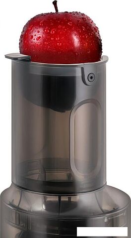 Соковыжималка Zigmund & Shtain ESJ-771