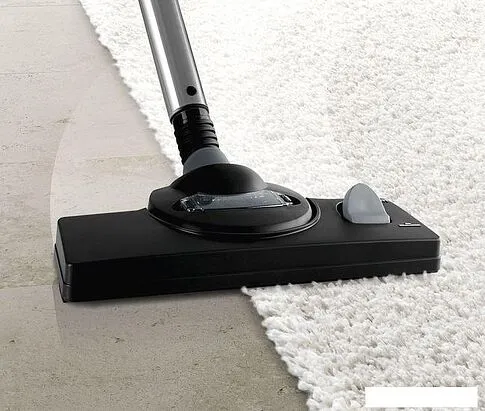 Пылесос Bosch BWD421PET