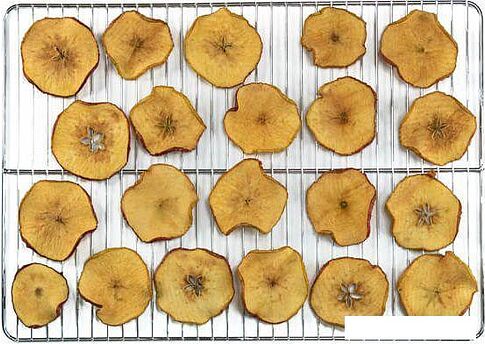 Сушилка для овощей и фруктов Status Fruit Veget Dehydrator 30 л