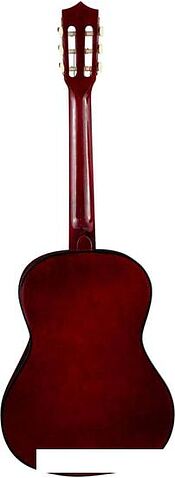 Акустическая гитара Terris TC-3801A SB