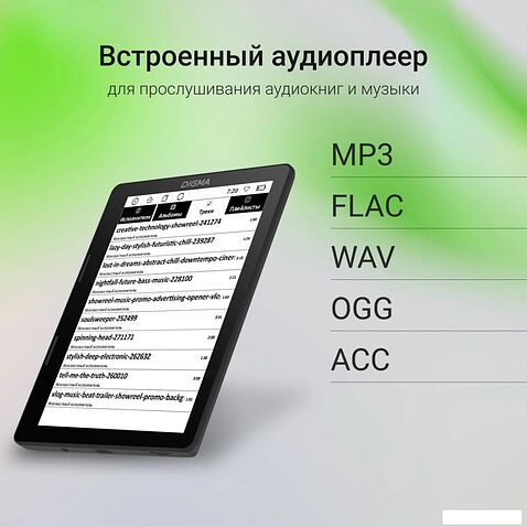 Электронная книга Digma F4