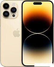 Смартфон Apple iPhone 14 Pro Max 256GB (золотистый)