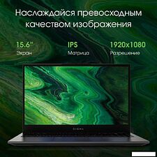 Ноутбук Digma Pro Fortis M DN15P3-ADXW02