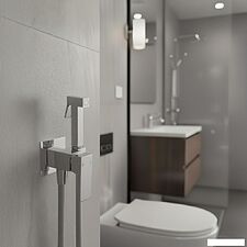 Гигиенический душ Lauter Rinse 21GN4051CH