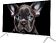 Телевизор Topdevice 32" FHD OS SALUTE TV (белый)