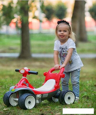 Каталка Полесье Трансформер №2 [46277]