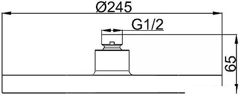 Верхний душ Maxonor PL107-25