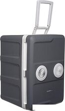 Термоэлектрический автохолодильник First FA-5170-2