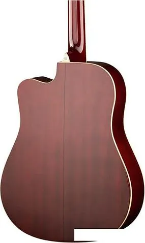 Акустическая гитара Naranda DG220CWRS