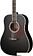 Акустическая гитара Naranda DG220BK