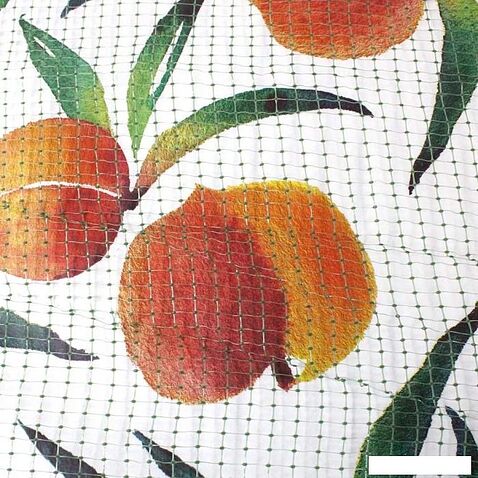 Сушилка для овощей и фруктов БРТЗ Хозяюшка СЭБ-1-0 23с473