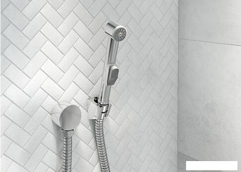 Гигиенический душ Deante Bidetta ANW 041B