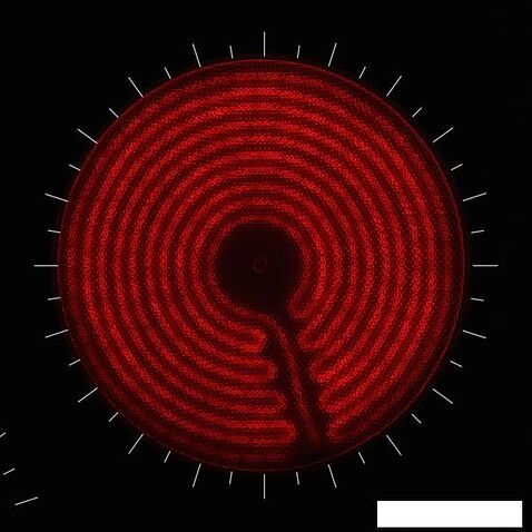 Варочная панель Krona Zauber 45 BL TK
