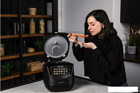 Мультиварка Garlyn MR-Pro 20