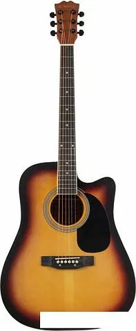 Акустическая гитара Terris TD-045 SB Starter Pack