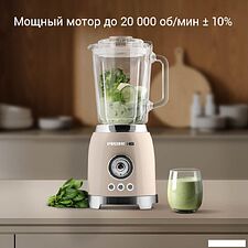 Стационарный блендер Redmond (Редмонд) BS413