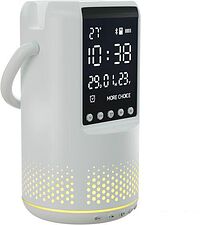 Беспроводная колонка More Choice BS25 (белый)