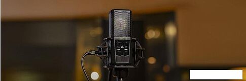 Микрофон Lewitt LCT 640 TS