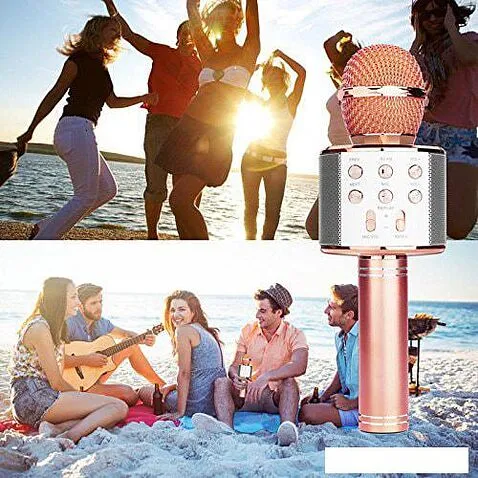 Микрофон Wster WS-858 (розовый)