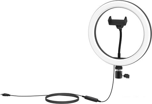 Кольцевая лампа Ritmix RRL-261