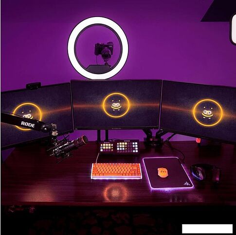 Проводной микрофон RODE XDM-100