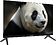 Телевизор Topdevice 24" SALUTE TV TDWC24BH4260V