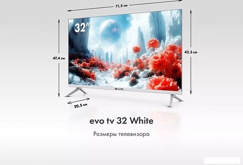 Телевизор Evo TV 32 White TD0051749RU