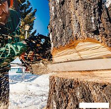 Бензопила Oasis GS-16