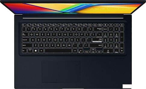 Ноутбук ASUS Vivobook 17 X1704VA-AU661 + 8 ГБ