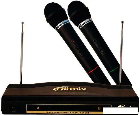 Микрофон Ritmix RWM-220