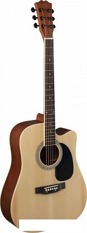 Акустическая гитара Terris TD-045 NA Starter Pack