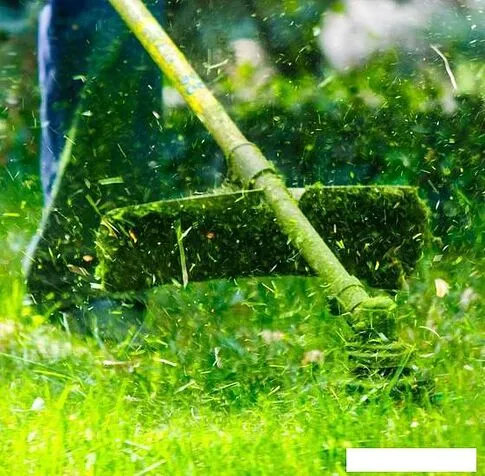 Триммер Oasis TB-250P (C)