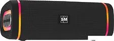 Беспроводная колонка Soundmax SM-PS5019B (черный)