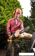 Электрическая пила Ryobi RCS2340B
