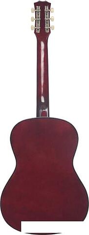 Акустическая гитара Terris TF-3802A NA