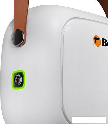 Пароочиститель Bort BDR-3000-RR