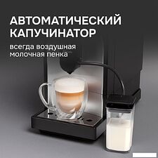 Кофемашина Zigmund & Shtain ZACM-2100