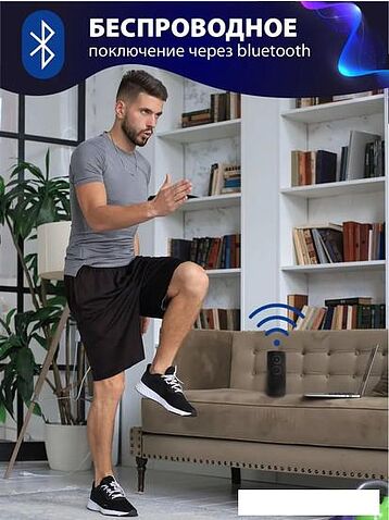 Беспроводная колонка Aiwa PAS-H200 (черный)