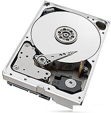 Жесткий диск Seagate Ironwolf 10TB [ST10000VN0004]