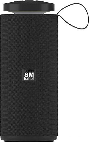 Беспроводная колонка Soundmax SM-PS5015B (черный)