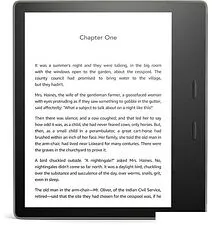 Электронная книга Amazon Kindle Oasis 2019 8GB (серый)