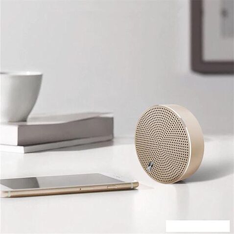 Беспроводная колонка Awei Y800 (черный)