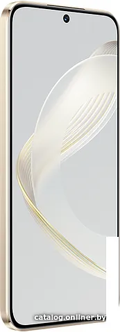Смартфон Huawei nova 11 FOA-LX9 8GB/256GB (золотистый)