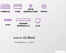 Телевизор Evo TV 43 Black TD0051752RU Телевизор Evo TV 43 Black TD0051752RU